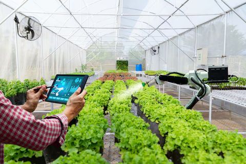 Farm Automation Machines: Types, Benefits, and Modern Farming Solutions