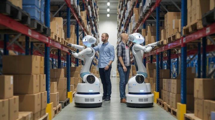 Warehouse Automation Robots Guide: Systems, Uses, and Efficiency Gains