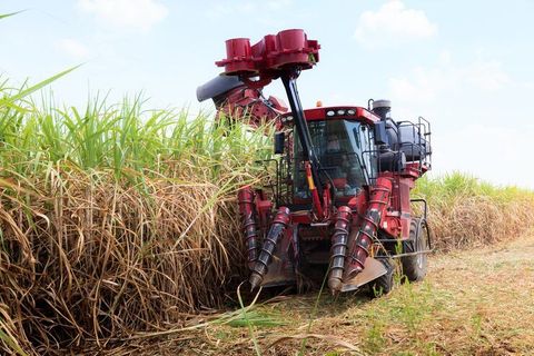 Sugarcane Harvesters Explained: Types, Working, and Farming Benefits