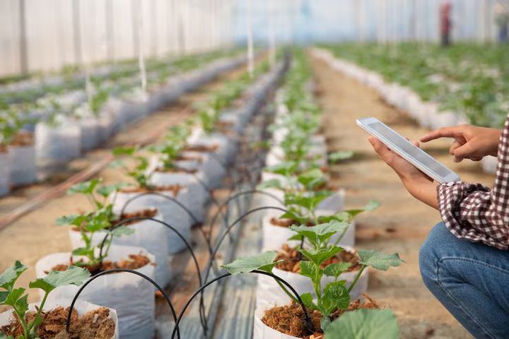 Smart Farming Technology: Guide to Modern Agriculture and Innovation