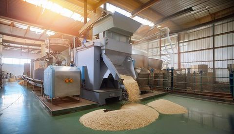 Grain Processing Machines: Key Equipment for Modern Agriculture
